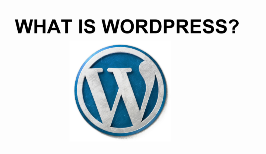  Choosing the Right WordPress VIP Alternative for Your Business
