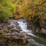 River, nature, landscape — StreamEast NBA: Stay Up-to-Date with Real-Time Scores and Stream Every Game in HD Quality!
