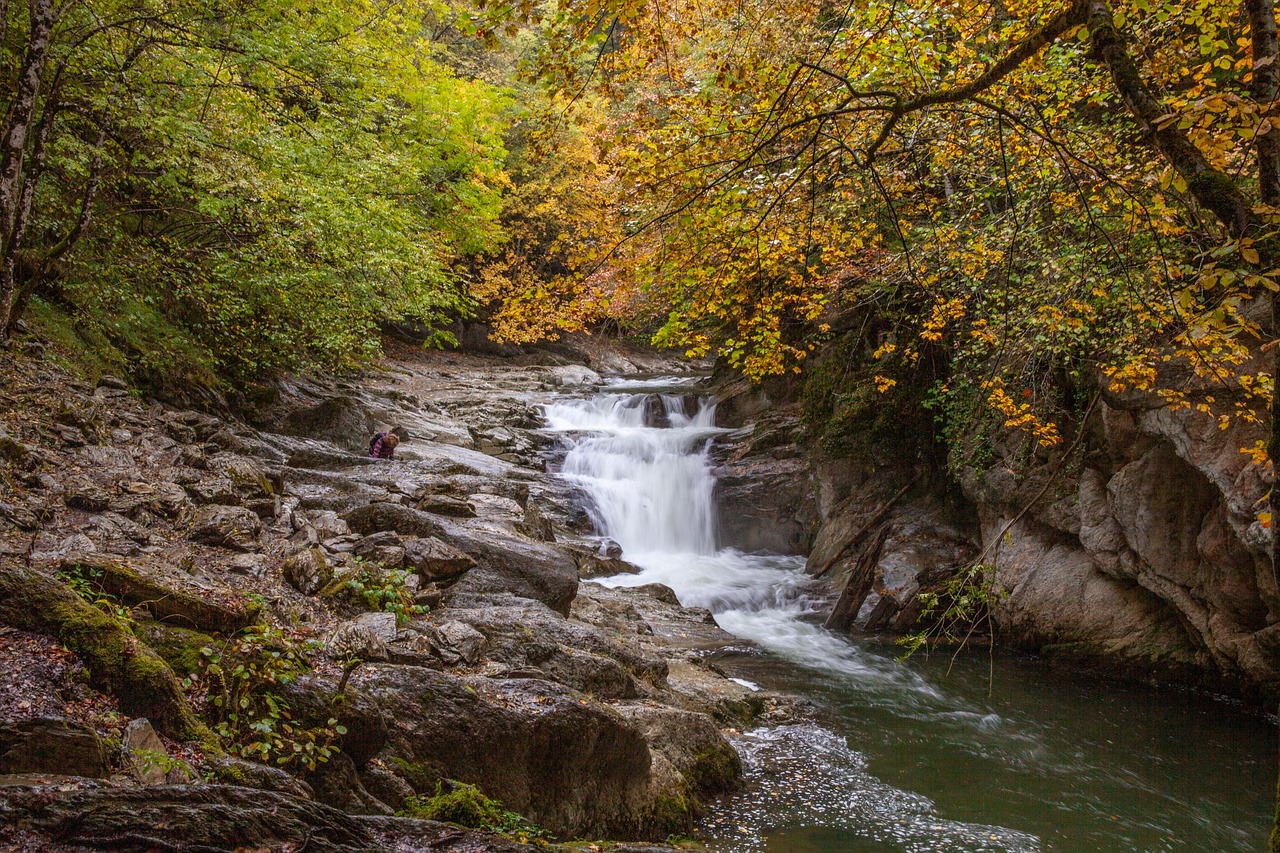 River, nature, landscape — StreamEast NBA: Stay Up-to-Date with Real-Time Scores and Stream Every Game in HD Quality!